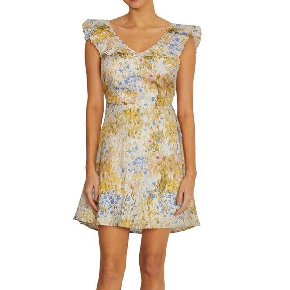 NWT Wildfox Floral V Mini Sun Dress Large